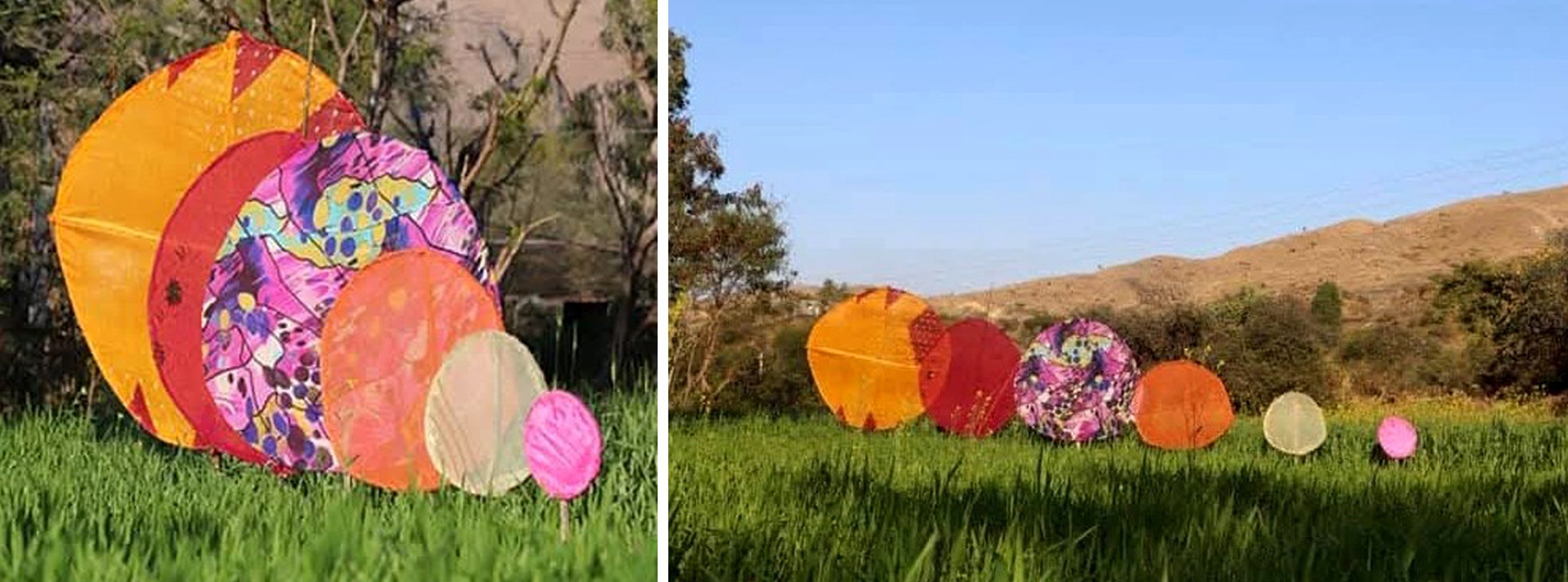 Dr Bhupat Dudi Art Work